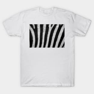 zebra T-Shirt